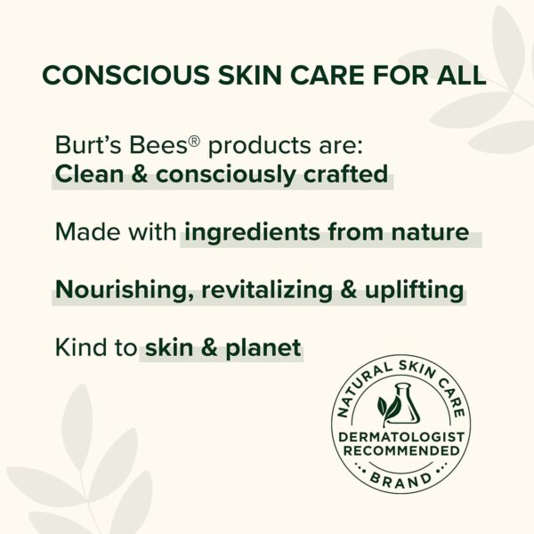 Burt's Bees Gifts Ideas - Essential Everyday Beauty Set, 5 Travel Size Products - Deep Cleansing Cream, Hand Salve, Body Lotion, Foot Cream and Lip Balm - Image 2