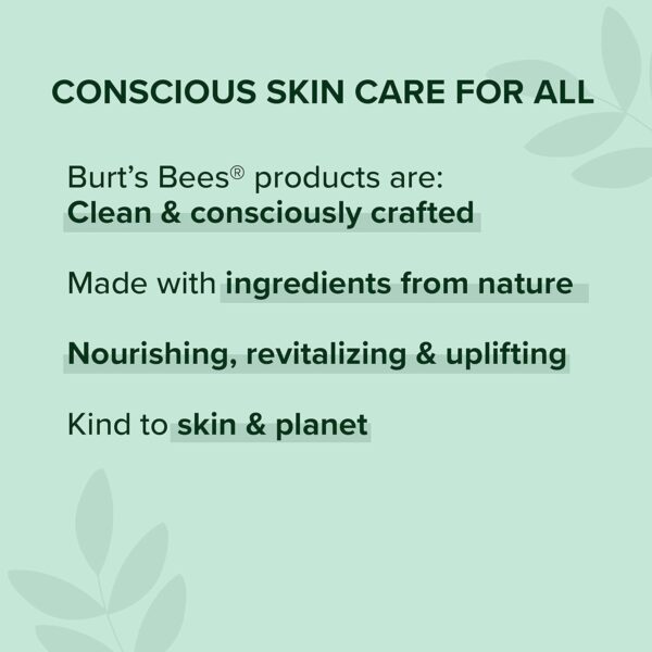 Burt's Bees Gifts Ideas - Essential Everyday Beauty Set, 5 Travel Size Products - Deep Cleansing Cream, Hand Salve, Body Lotion, Foot Cream and Lip Balm - Image 4